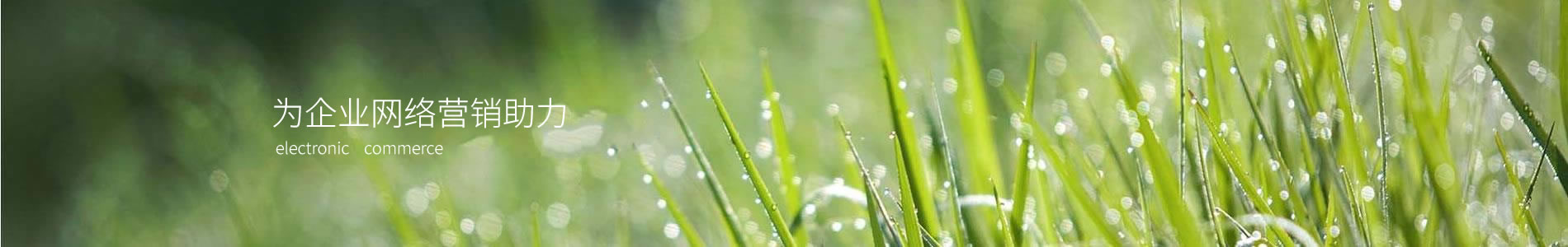 ػңפ̫ԭֹ˾